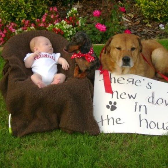 Meet your Posher, Shannon - Picture 1 of 1